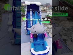 ओईएम Inflatable वाटर स्लाइड 0.55 एमएम पीवीसी बच्चों के पानी पार्क स्लाइड पूल के साथ