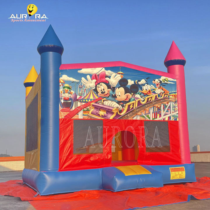 आउटडोर वाणिज्यिक inflatable बाउंसर पीवीसी रंगीन वयस्क बच्चों कूद महल