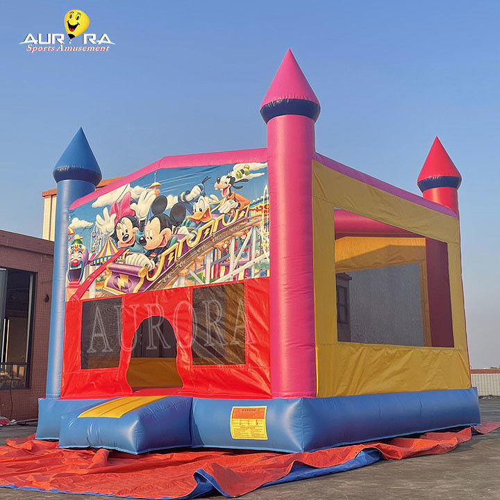 आउटडोर वाणिज्यिक inflatable बाउंसर पीवीसी रंगीन वयस्क बच्चों कूद महल