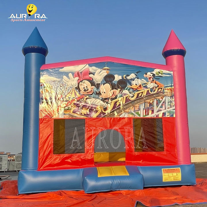 आउटडोर वाणिज्यिक inflatable बाउंसर पीवीसी रंगीन वयस्क बच्चों कूद महल